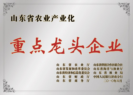 Shandong Province Agricultural Industrialization Key Leading Enterprise