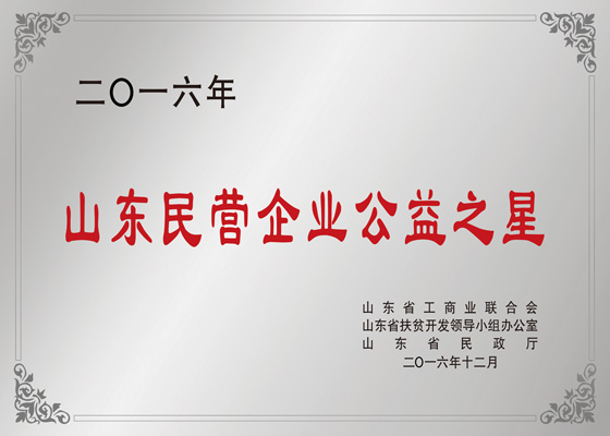 Shandong Private Enterprise Public Welfare Star
