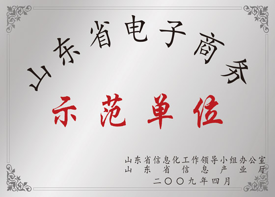 Shandong Province E-commerce Demonstration Unit